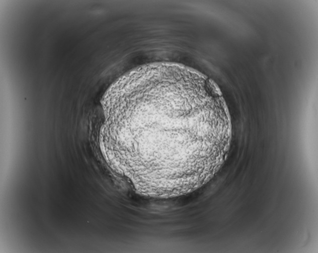 X0000084000757200703091906