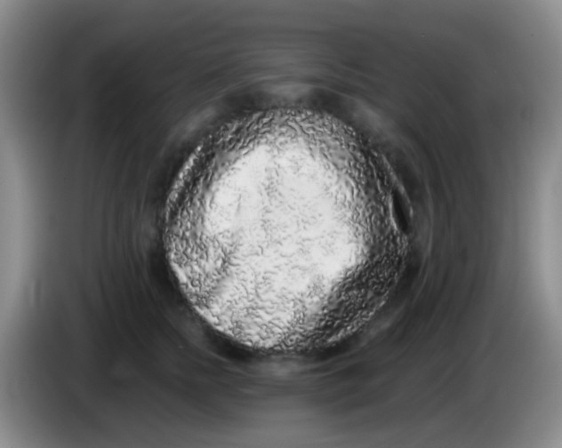 X0000084000758200703091906