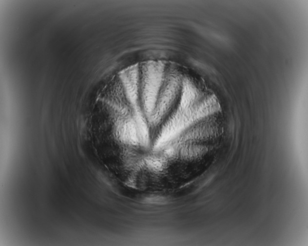 X0000084000759200703091906