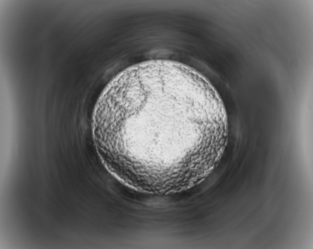 X0000084000761200703091906