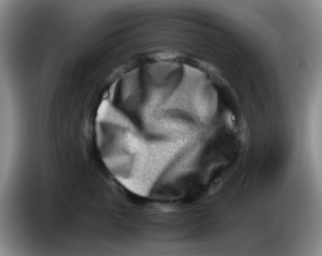 X0000084000763200703091906
