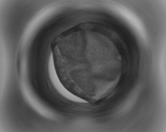 X0000084000765200703091906