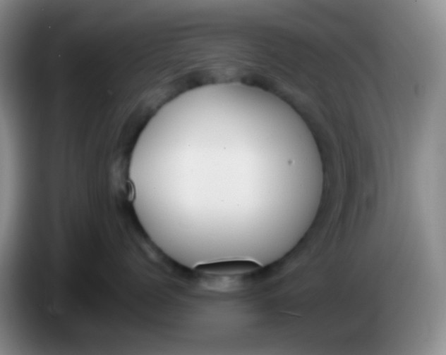 X0000084000768200703091906