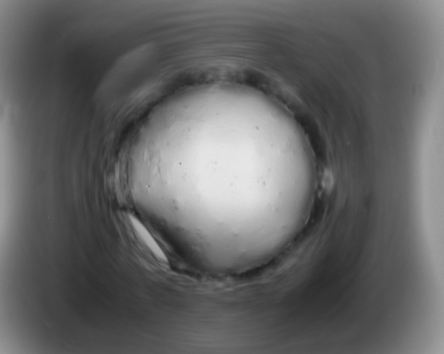 X0000084000771200703091905