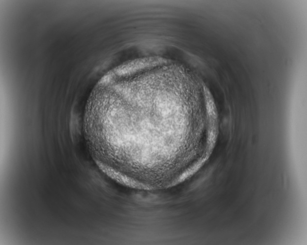 X0000084000772200703091905