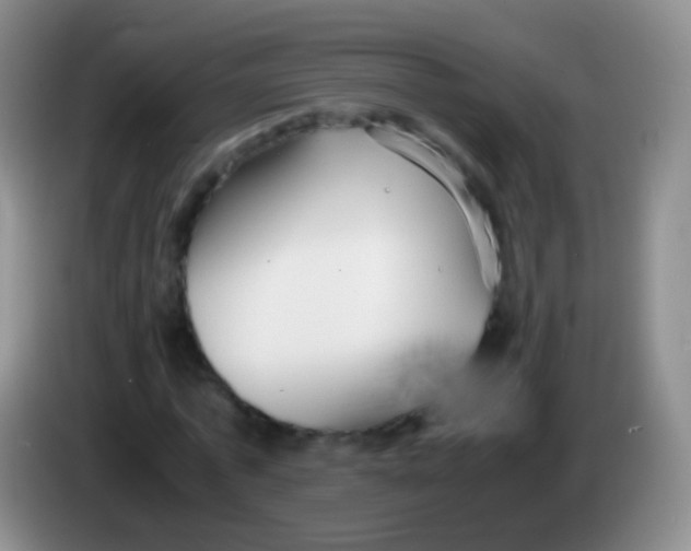 X0000084000773200703091905