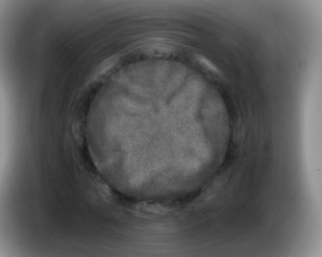 X0000084000774200703091905