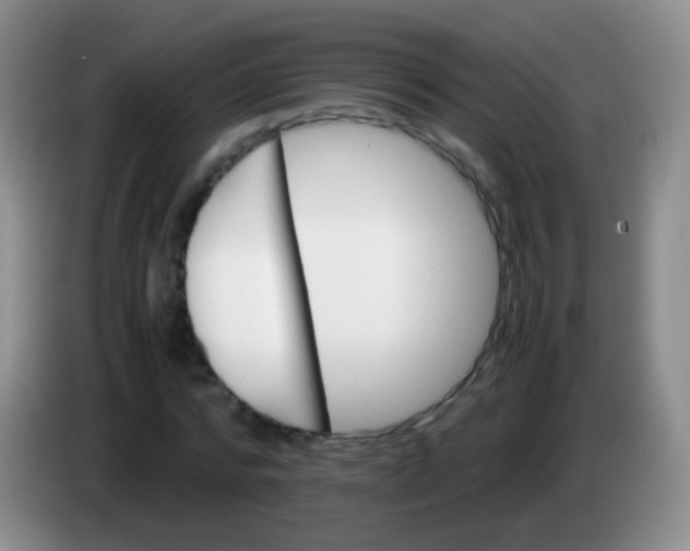 X0000084000776200703091905