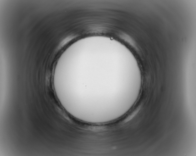 X0000084000778200703091905