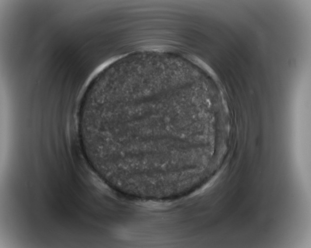 X0000084000779200703091905