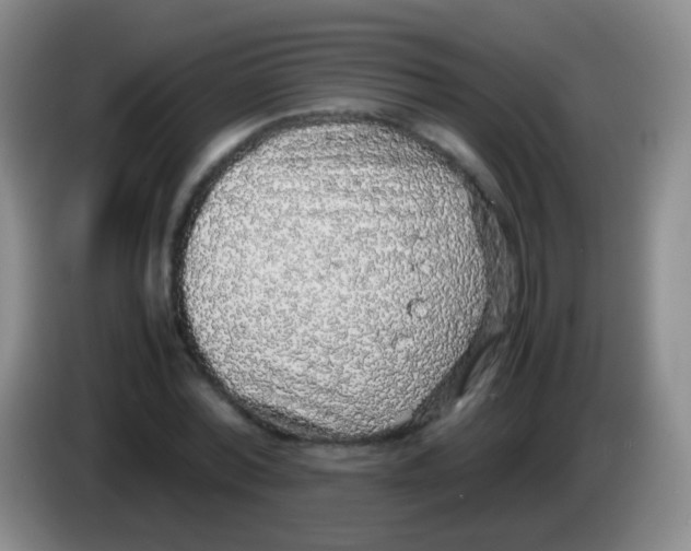 X0000084000780200703091905