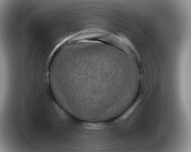 X0000084000781200703091905