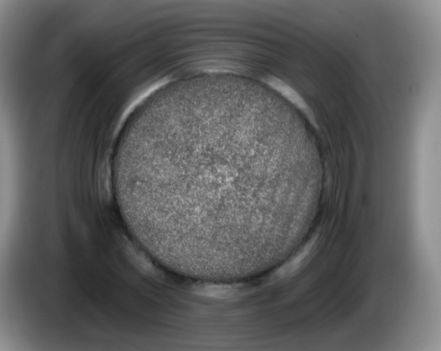 X0000084000782200703091905