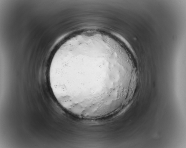 X0000084000783200703091905