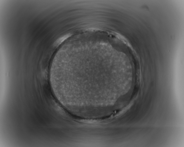 X0000084000785200703091905