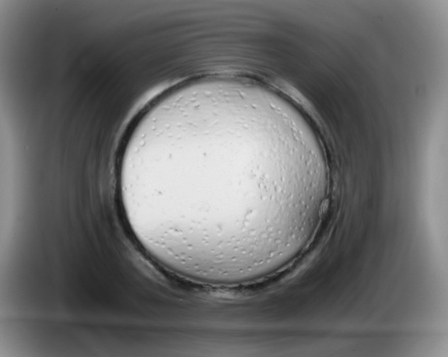 X0000084000787200703091905