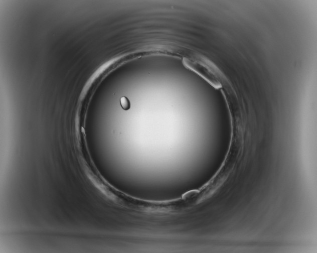 X0000084000788200703091905