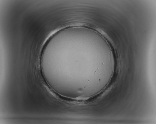 X0000084000789200703091905