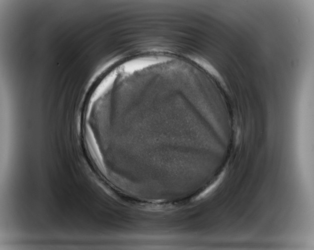 X0000084000790200703091905