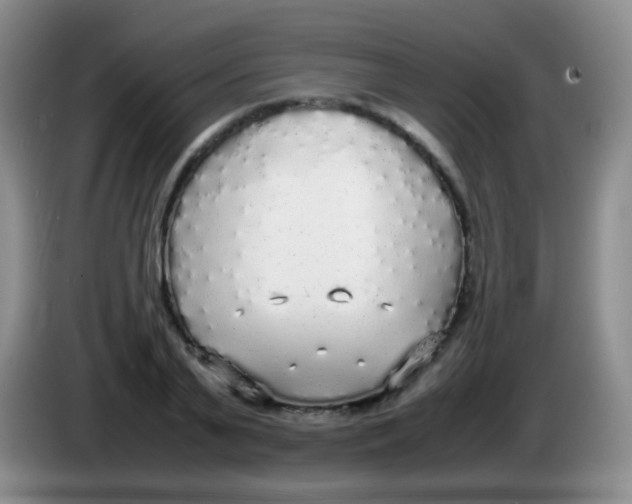 X0000084000791200703091905
