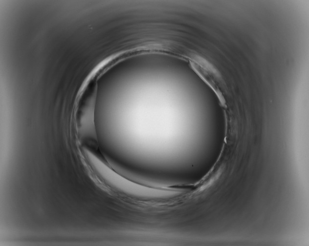 X0000084000792200703091905