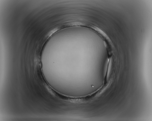 X0000084000793200703091905
