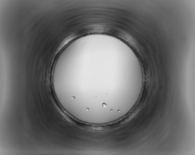 X0000084000794200703091905