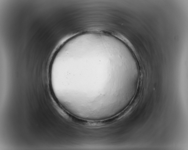 X0000084000795200703091905