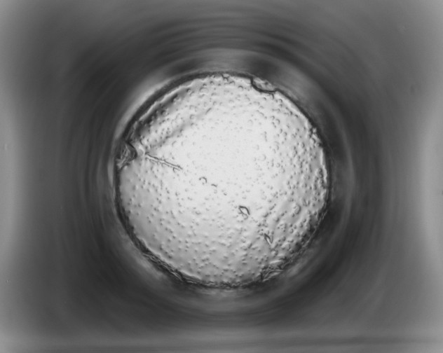 X0000084000796200703091905