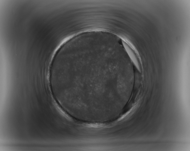 X0000084000797200703091905