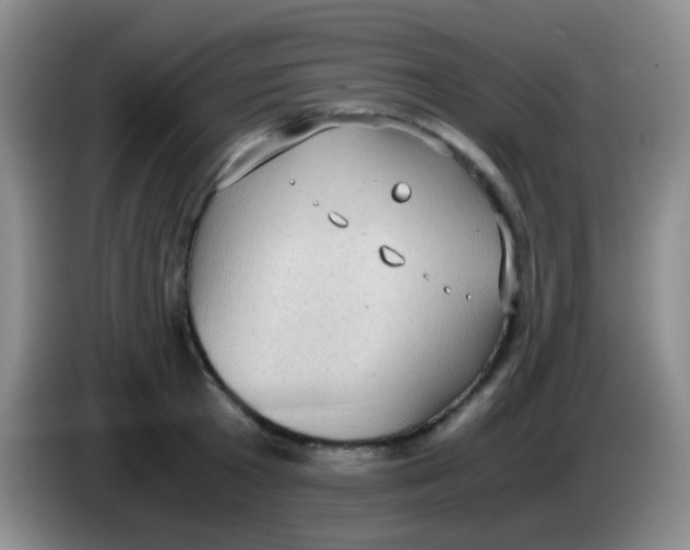 X0000084000801200703091905