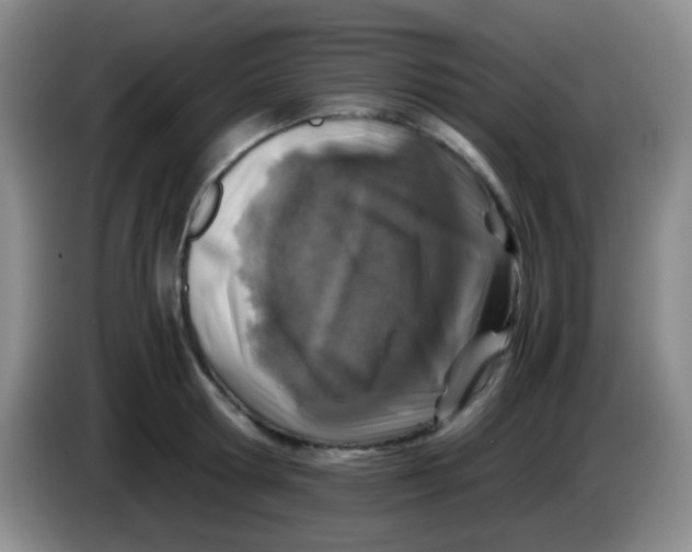 X0000084000802200703091905