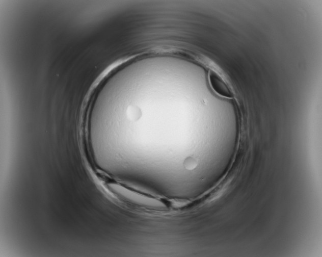 X0000084000803200703091905