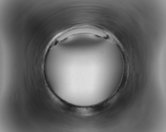 X0000084000805200703091905