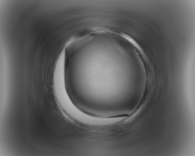 X0000084000809200703091905