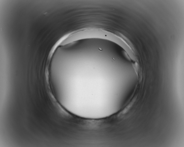 X0000084000812200703091905