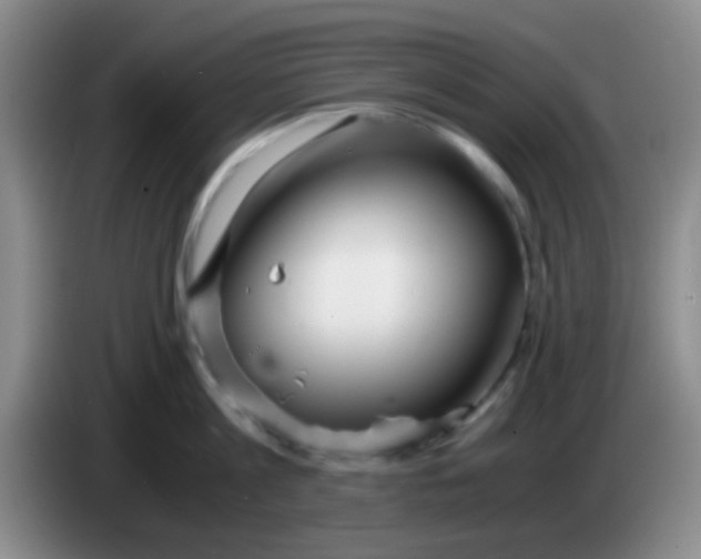 X0000084000813200703091905
