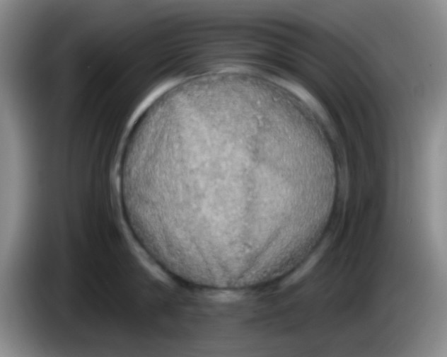 X0000084000814200703091905