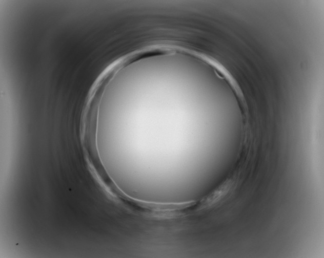 X0000084000815200703091904