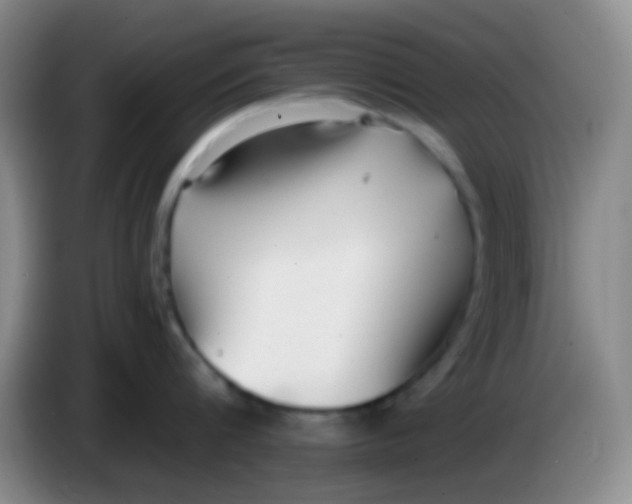 X0000084000816200703091904