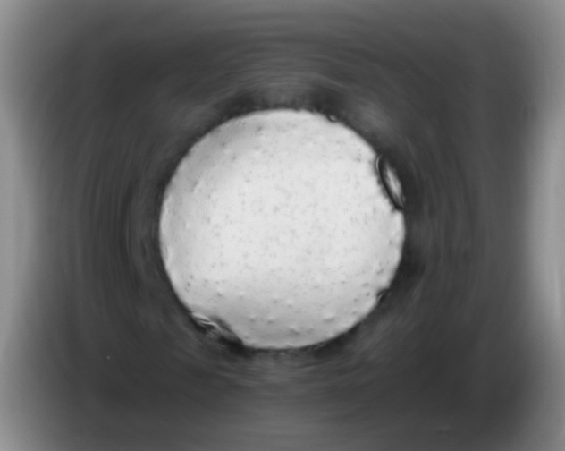 X0000084000817200703091904