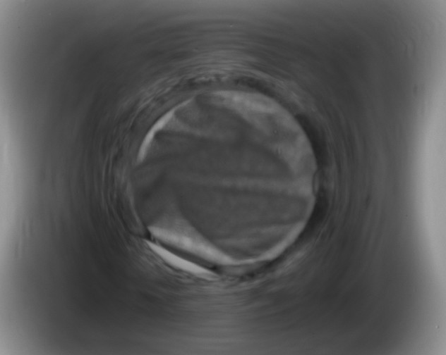X0000084000818200703091904