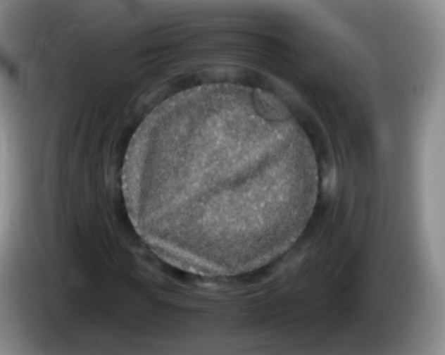 X0000084000819200703091904