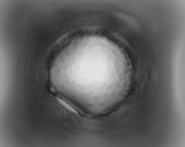 X0000084000821200703091904