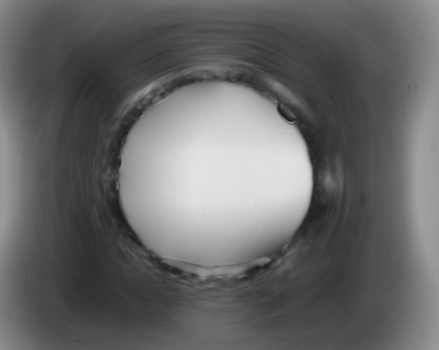 X0000084000822200703091904