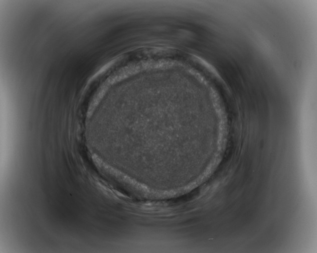 X0000084000823200703091904