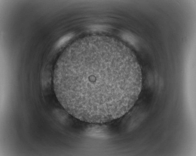 X0000084000824200703091904