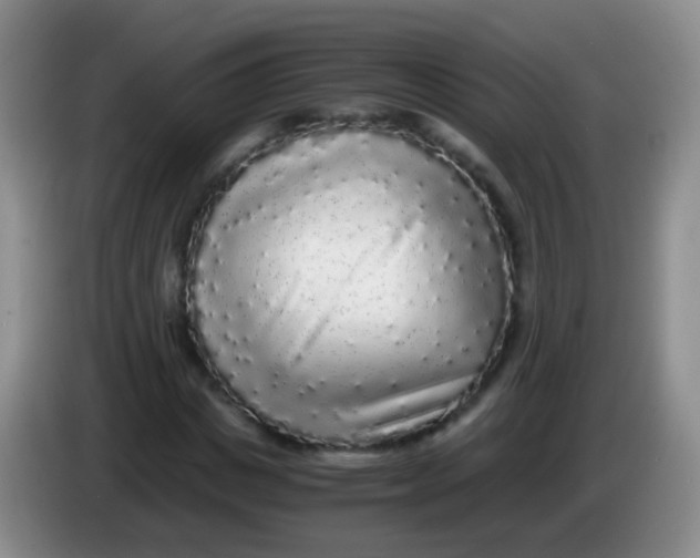X0000084000825200703091904