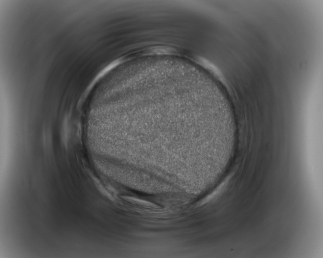 X0000084000827200703091904