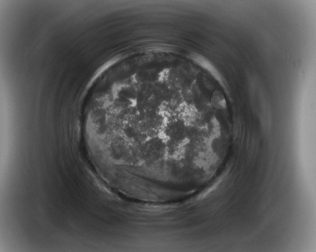X0000084000829200703091904